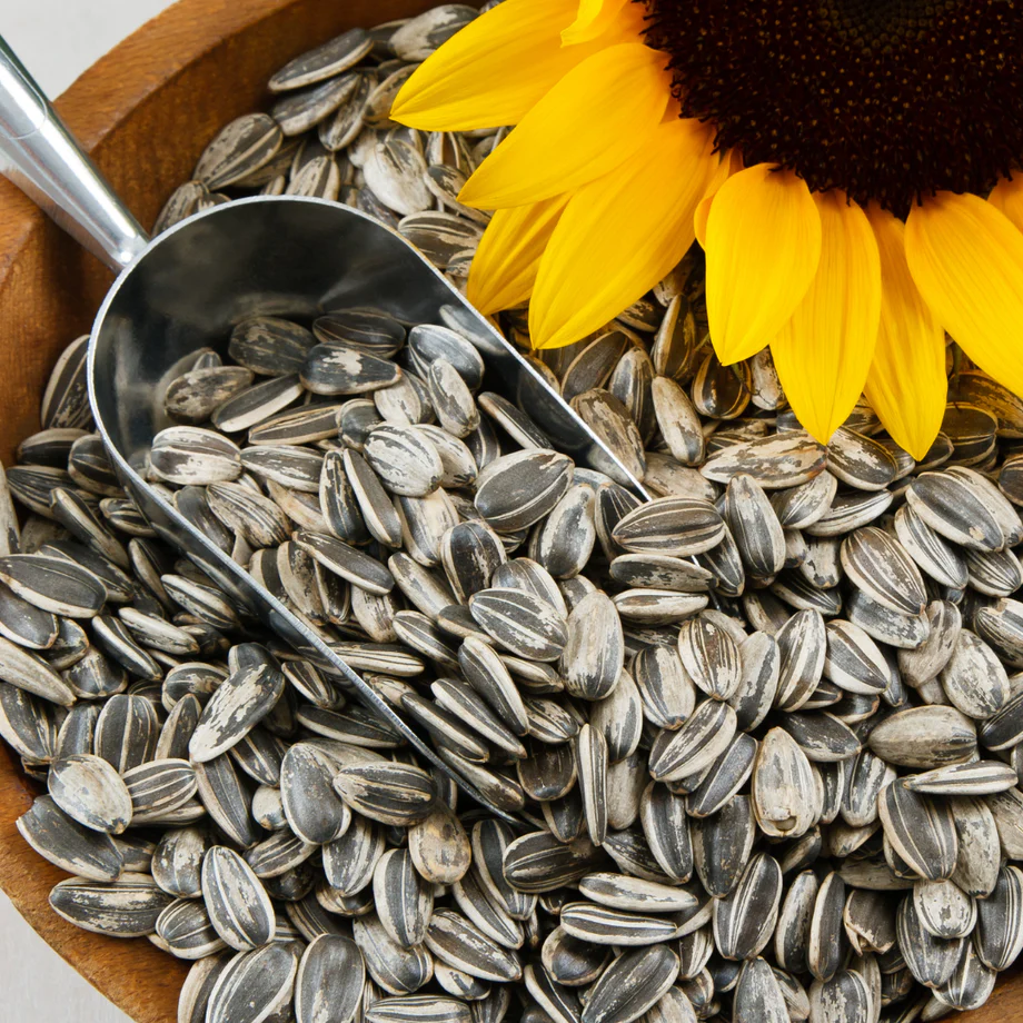 Are sunflower seeds bad?