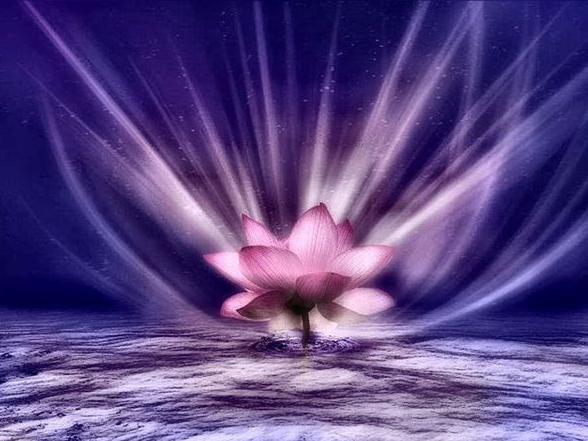 Reiki Shambala Techniques Are Very Effective in Blood Pressure Treatment